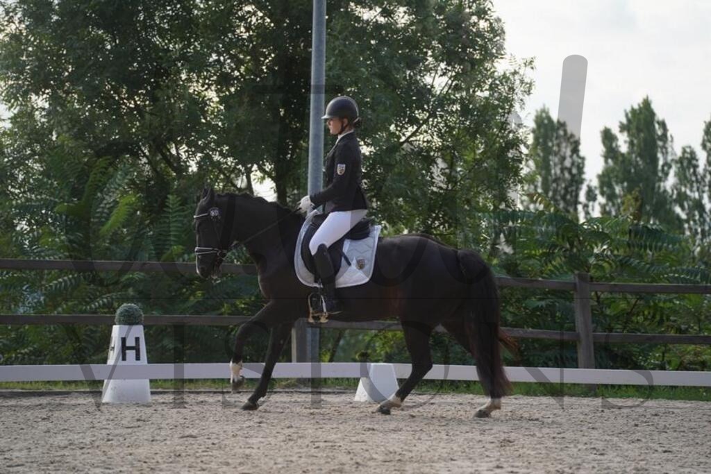 tgbhsamstag (2656) | d.tail Visions - Shop - Realisiert mit Pictrs.com