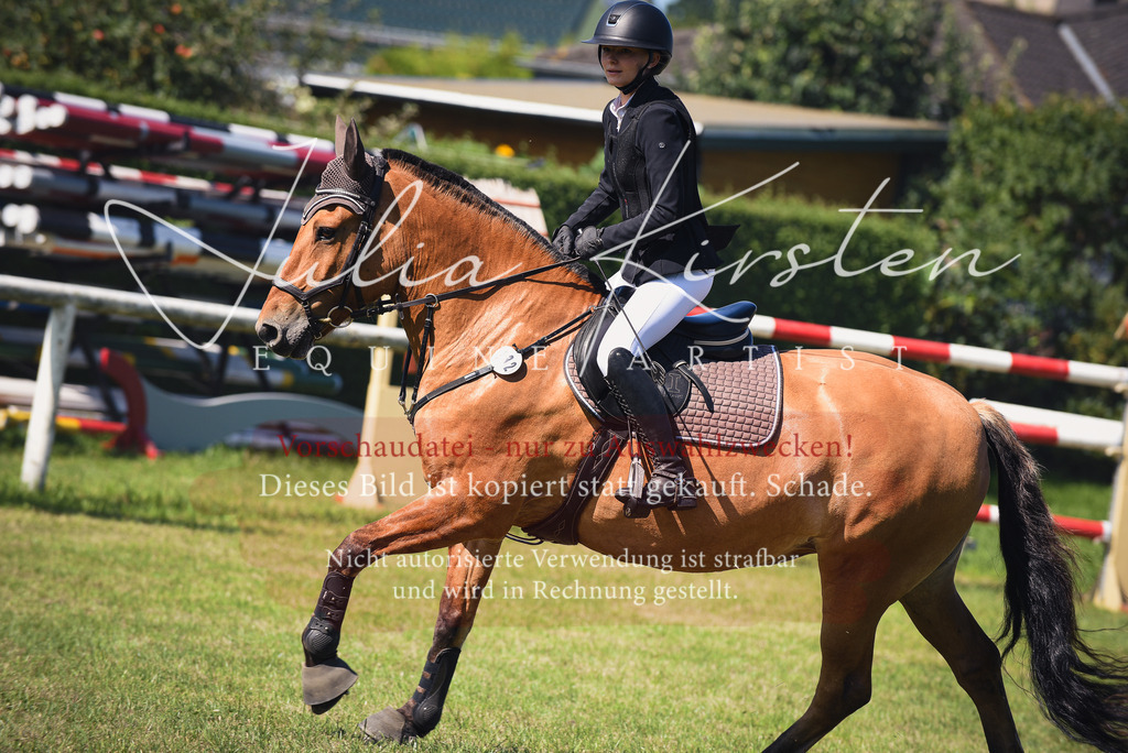 DSC_9236 | Pferde- und Turnierfotografie in Westsachsen. Pferdeportraits, Auftragszeichnungen und intuitive Kunst.