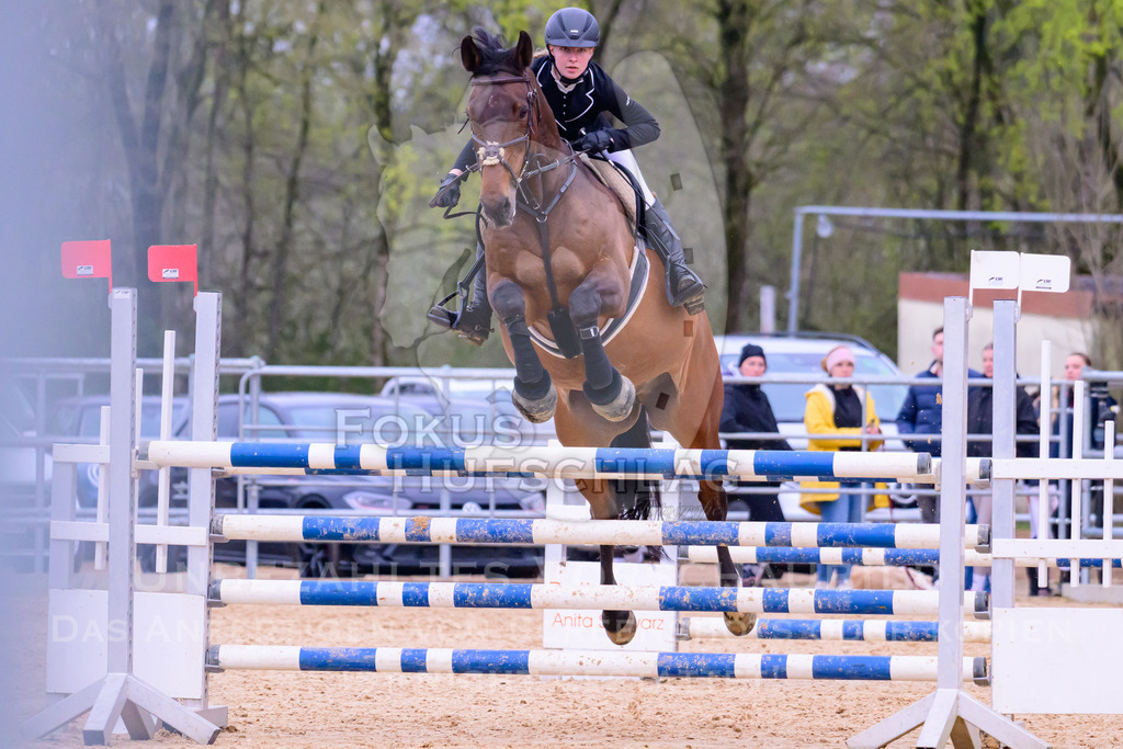 10042026-Mammendorf-Prfg19-0466 | Fokus Hufschlag Fotografie - Realisiert mit Pictrs.com