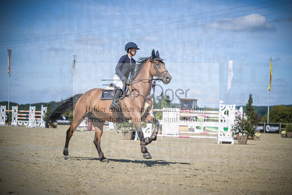 DOS_3650 | Entdecke hochwertige Reitturnierfotos von Foto Oger. Professionell, emotional und authentisch – jetzt Lieblingsmomente im Shop bestellen.Deutschlandweite Turnierfotografie. - Realisiert mit Pictrs.com