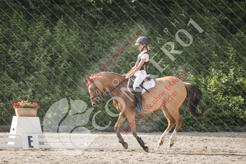 IMG_5885 | Sport-, Event- und Tierfotos in Profiqualität. Einfach auswählen, bestellen und herunterladen. Dein Moment – perfekt festgehalten.