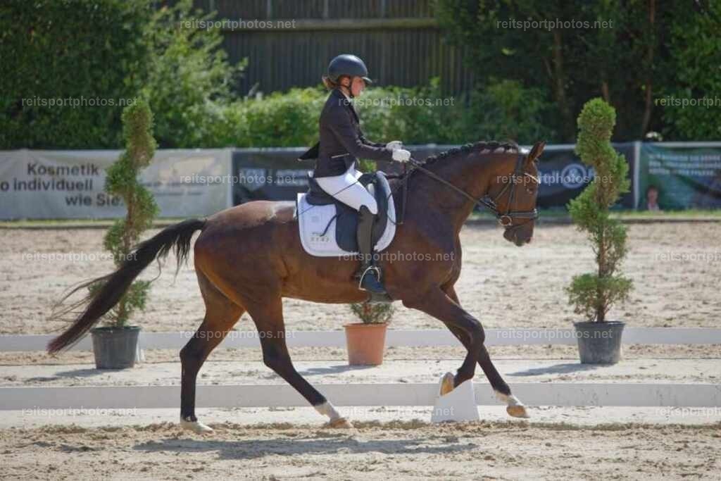 JHE_2724 | JoYa Fotografie - Realisiert mit Pictrs.com