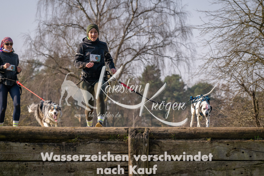 _ZZ94275 | kk-dogfotos