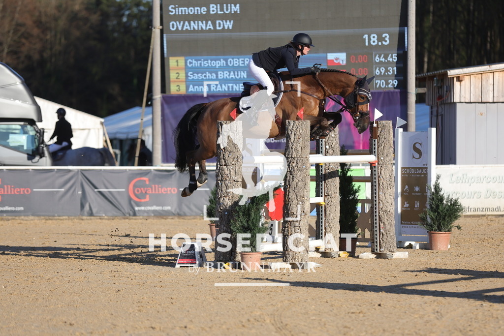 0P6A2308 | Willkommen bei Brunnmayr - Design & Fotografie – Ihrem Spezialisten für Reitturniere und Pferdeveranstaltungen in Oberösterreich, Salzburg und Bayern! Seit über 17 Jahren sind wir leidenschaftlich dabei.