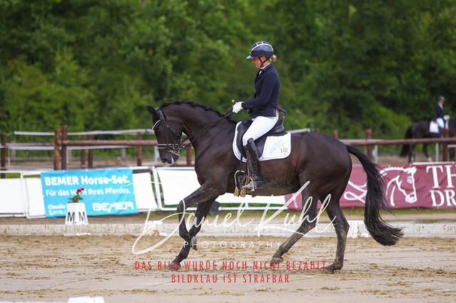 DKP40607 | Turniersportfotografie; Pferdefotografie; Dressurfotografie