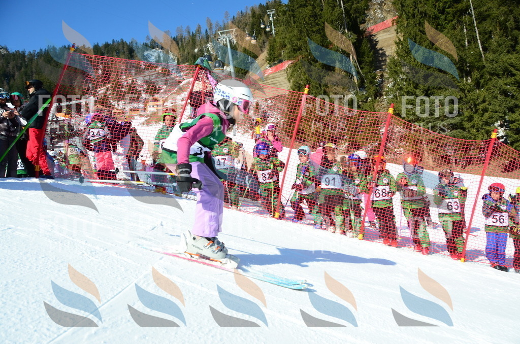 C4749 | holidayphoto