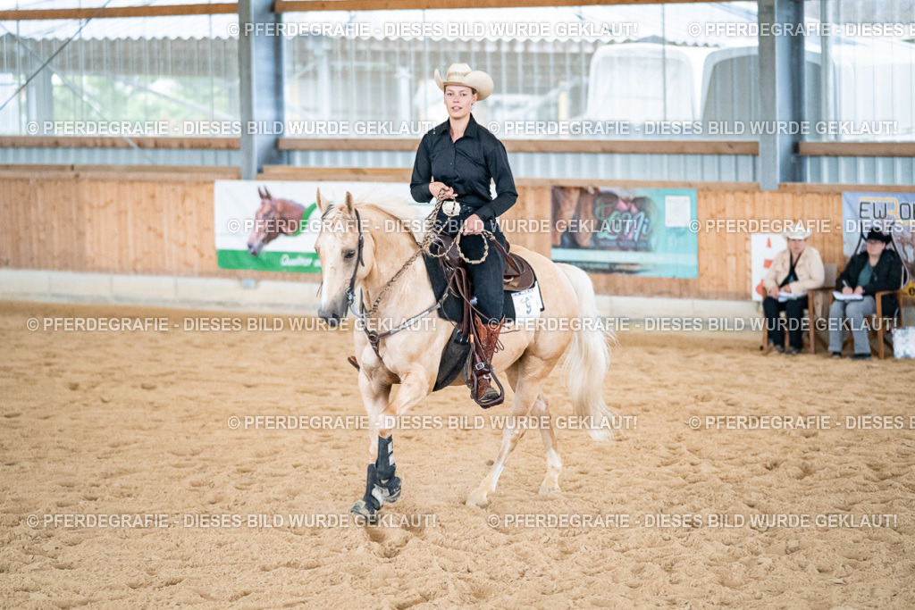 DSC03006 | Pferdegrafie