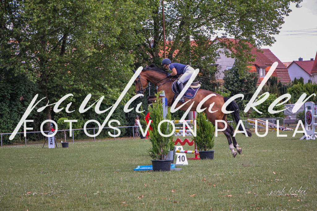 IMG_9534 | Erleben Sie dynamische Sport- und emotionale Tierfotografie in Süddeutschland mit Fotos von Paula. Spezialisiert auf Pferde- und Hundefotografie sowie Sportevents. Kontaktieren Sie mich für einzigartige und ausdrucksstarke Bilder Ihrer besonderen Momente. - Realisiert mit Pictrs.com