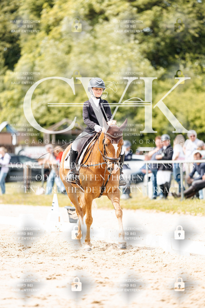 CK902611 | Turnierfotografie Pferdefotografie Trier Rheinland-Pfalz Pferdesport Reitsport Tierfotografie Sportfotografie Pferdevideo Pferdevideografie Equestrianvideography equestrianphotography  - Realisiert mit Pictrs.com