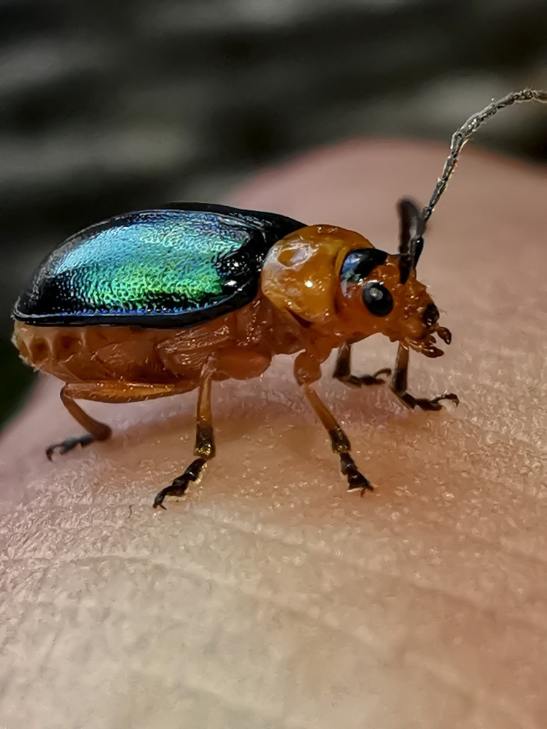 PSX_20230823_224932 | mtkfoto_ - Realisiert mit Pictrs.com