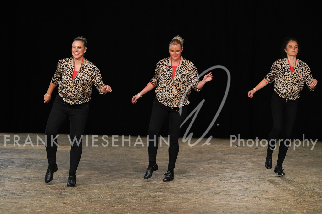 steppdm22_5086 | FRANK WIESEHAHN MEDIA - Realisiert mit Pictrs.com