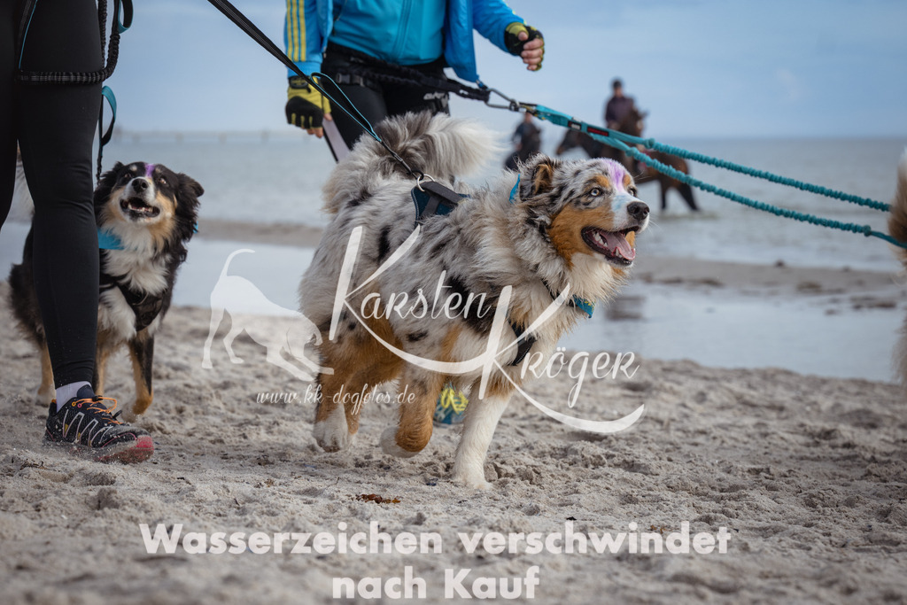 1236_ZZ97705 | kk-dogfotos