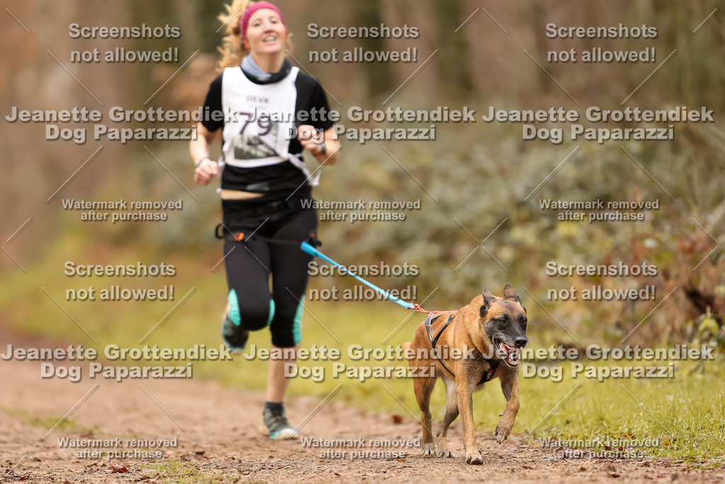 Dog Paparazzi - Speedhunter Mannheim  2025-228 | Dog Paparazzi Jeanette Grottendiek Fotografie & Videografie