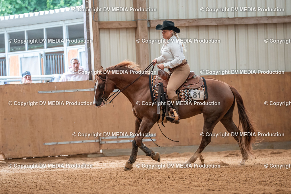 Neckargemünd Tag 3-958 | dv-media-shop - Realisiert mit Pictrs.com