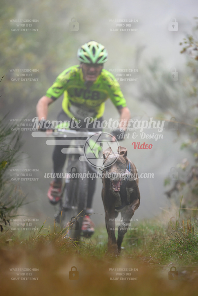 MompixPhotography_20TSB_E4_Bike-99 | PayLife