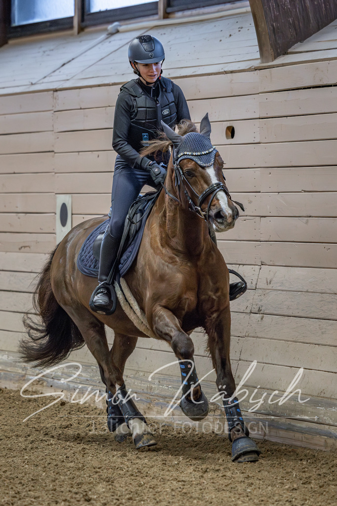 20260221-_3LI8240 | Tierfotografie Pferde, Hunde, Katzen, Haustiere.
Turnierfotografie Reitturniere, Reiten, Springreiten, Dressur in Hanau, dem Main-Kinzig-Kreis und dem Rhein-Main- Gebiet um Frankfurt