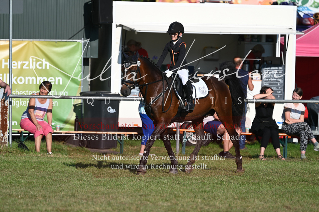 DSC_4746 | Pferde- und Turnierfotografie in Westsachsen. Pferdeportraits, Auftragszeichnungen und intuitive Kunst.