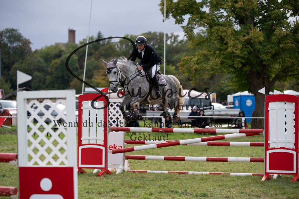 A7V07265 | Pferdefotograf