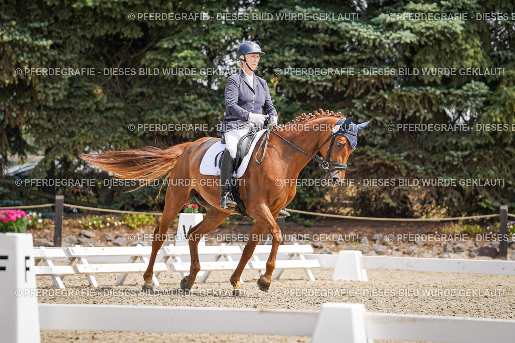 DSC00535 | Pferdegrafie