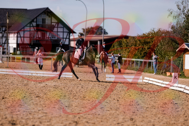 2026_10_03_Siefer-Hof_133844_Z81_97081849 | Professionelle Reitsport-, Turnier- und Eventfotografie von Robert Broda. Galerien mit ausgewählten und bearbeiteten Bildern direkt online ansehen und bestellen.