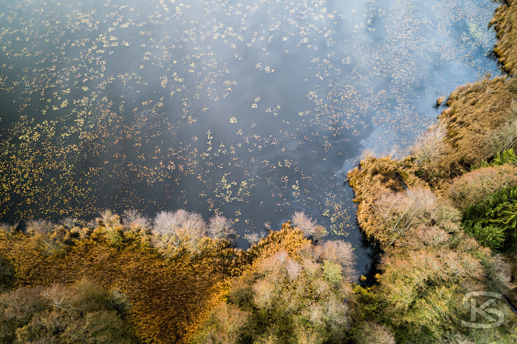 Allgäu-See-Landschaft aus der Luft mit dichtem Mischwald im Herbst | Atemberaubende Allgäu-See-Landschaft mit Bootssteg aus der Luft und farbenprächtigem Mischwald im Herbst – idyllische Natur, klare Gewässer und leuchtende Herbstfarben, beeindruckende Drohnenaufnahme - Realisiert mit Pictrs.com