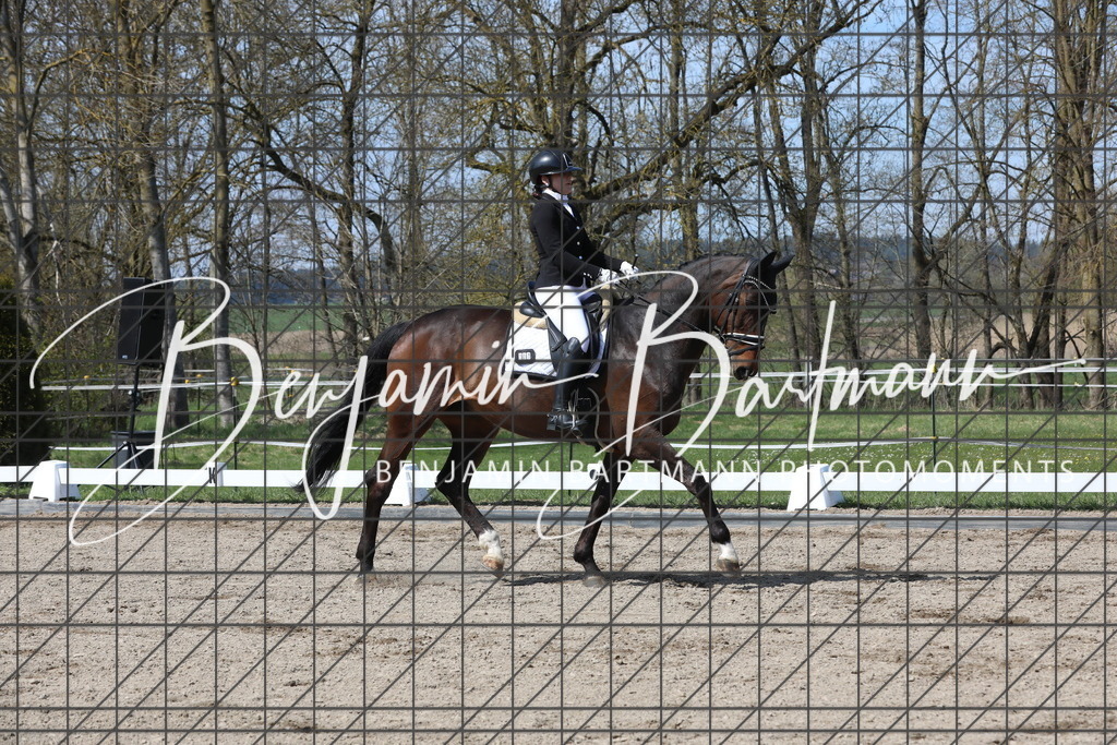 AZ2A5396 | Benjamin Bartmann Photomoments