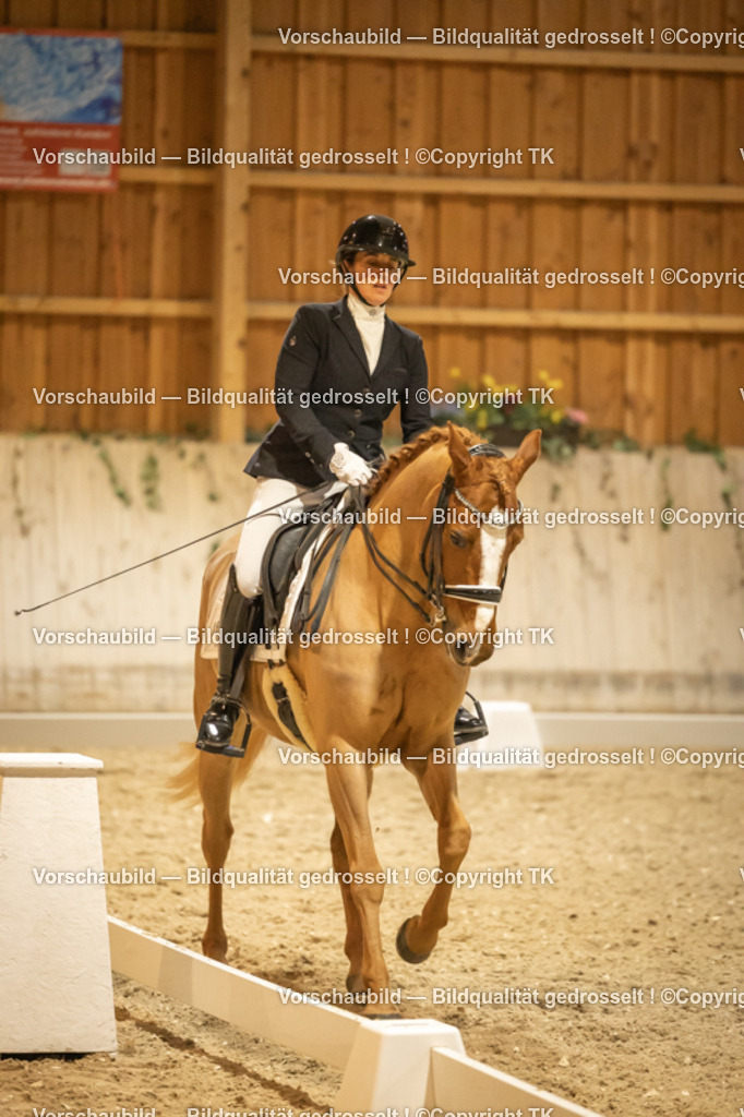 _D5A4199 | Emotionale Pferde- & People-Fotografie rund um Heidelberg, Leimen & Umgebung. Natürliche Fotos von Pferd, Mensch & Familie. Jetzt Termin sichern!