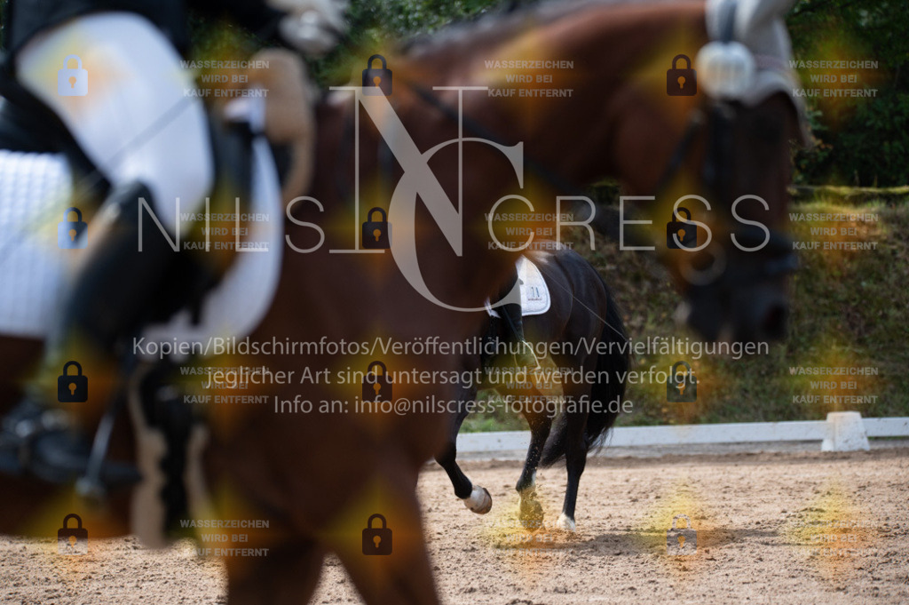DSC_3039 | Nils Cress - Fotografie - Realisiert mit Pictrs.com