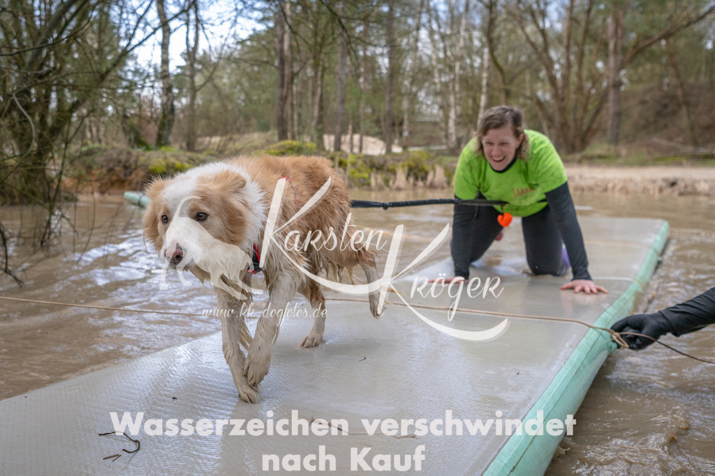 0956_ZZ91845 | kk-dogfotos