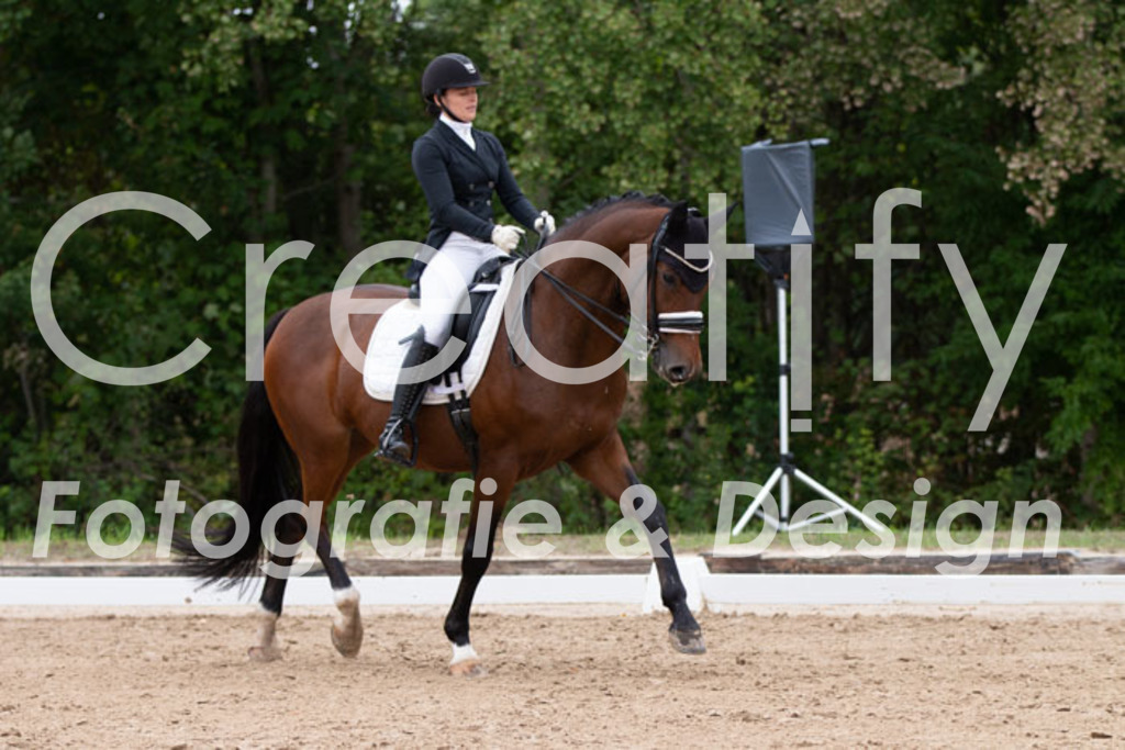 IMG_7441 | Creatify Fotografie