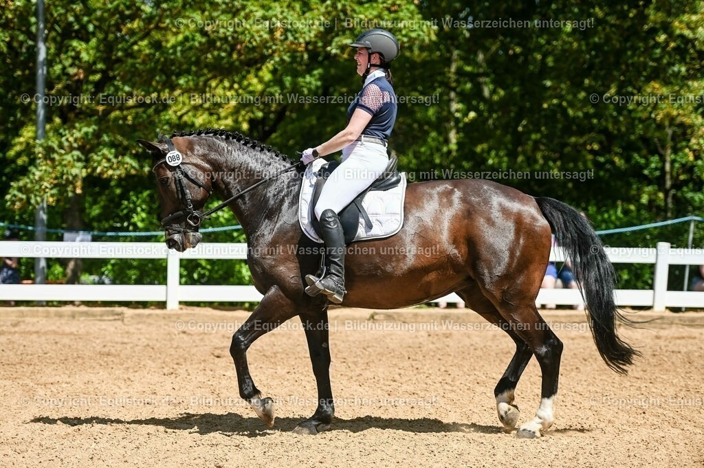 20230715_02_Dressurreiterprüfung Kl.L_0112 | equistock