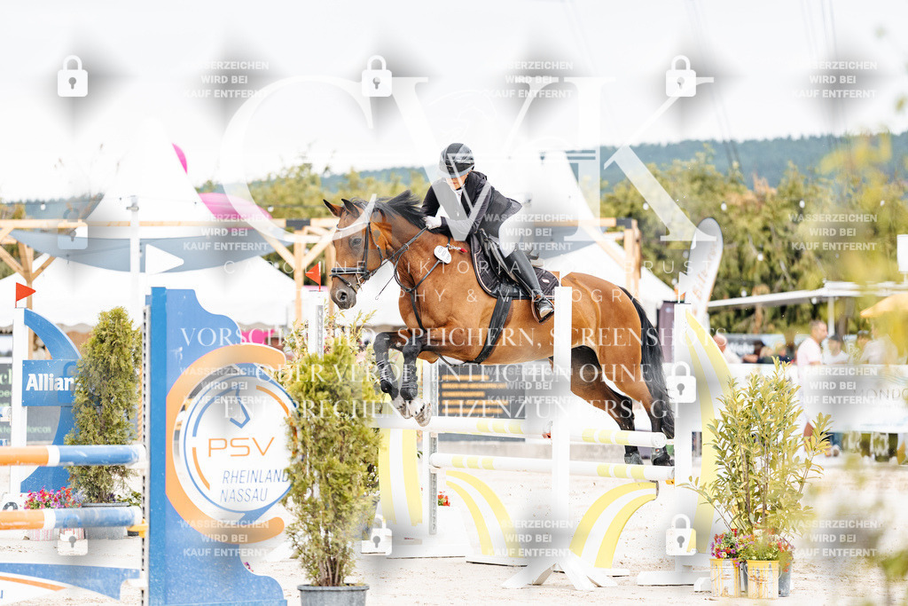 CK906265 | Turnierfotografie Pferdefotografie Trier Rheinland-Pfalz Pferdesport Reitsport Tierfotografie Sportfotografie Pferdevideo Pferdevideografie Equestrianvideography equestrianphotography  - Realisiert mit Pictrs.com
