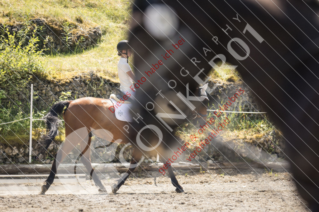 IMG_4595 | Sport-, Event- und Tierfotos in Profiqualität. Einfach auswählen, bestellen und herunterladen. Dein Moment – perfekt festgehalten.