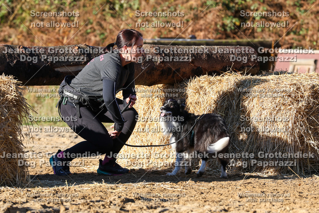 Dog Paparazzi - Strongdog 10-25-1415 | Dog Paparazzi Jeanette Grottendiek Fotografie & Videografie - Realisiert mit Pictrs.com