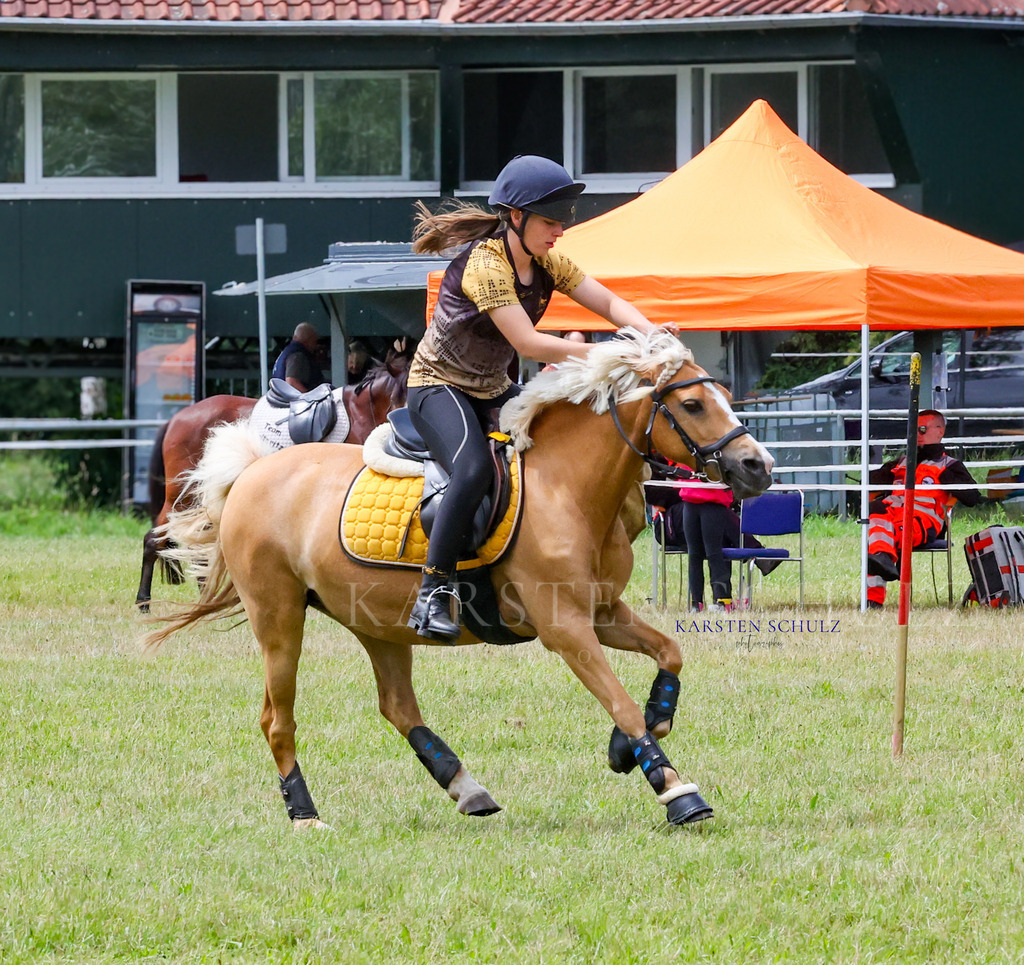 1B3A1728 | Reitsport Reiten