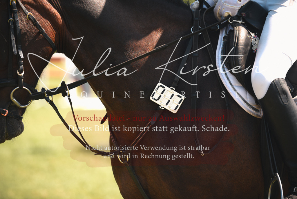 DSC_6959 | Pferde- und Turnierfotografie in Westsachsen. Pferdeportraits, Auftragszeichnungen und intuitive Kunst.