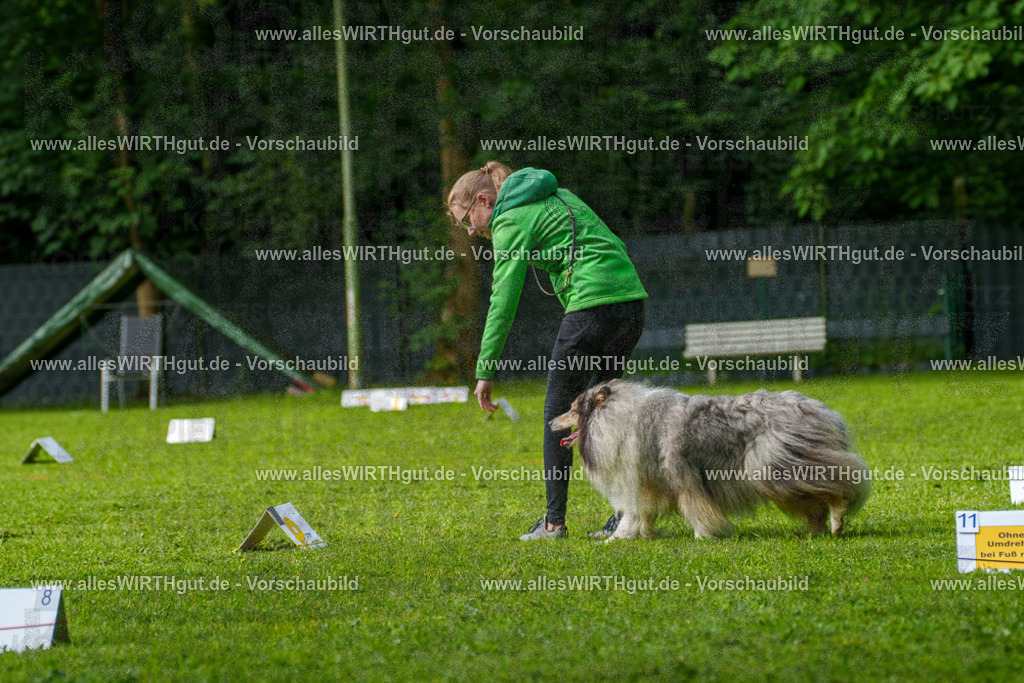 @allesWIRTHgut_Tierfotografie - www.allesWIRTHgut.de - 7R502129 | Professionelle Tierfotografie in Mönchengladbach von Daniel Wirth (allesWIRTHgut). Liebevolle & natürliche Bilder von Hunden & Katzen für unvergessliche Erinnerungen.