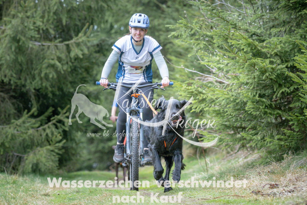 1312_ZZ93981 | kk-dogfotos
