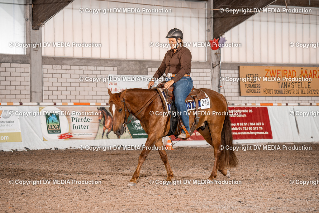 ZH100056 | dv-media-shop - Realisiert mit Pictrs.com