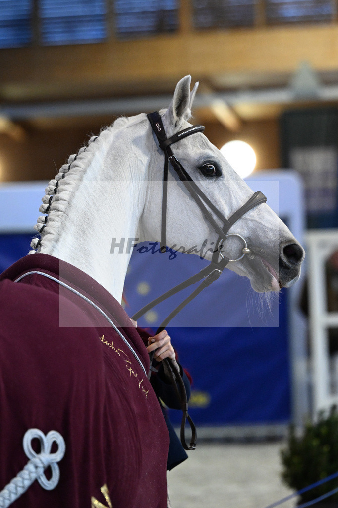 Cashmoaker_5250821 | hf-fotografie - Realisiert mit Pictrs.com