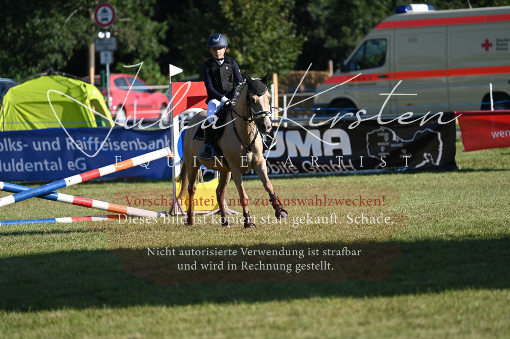 DSC_4720 | Pferde- und Turnierfotografie in Westsachsen. Pferdeportraits, Auftragszeichnungen und intuitive Kunst.