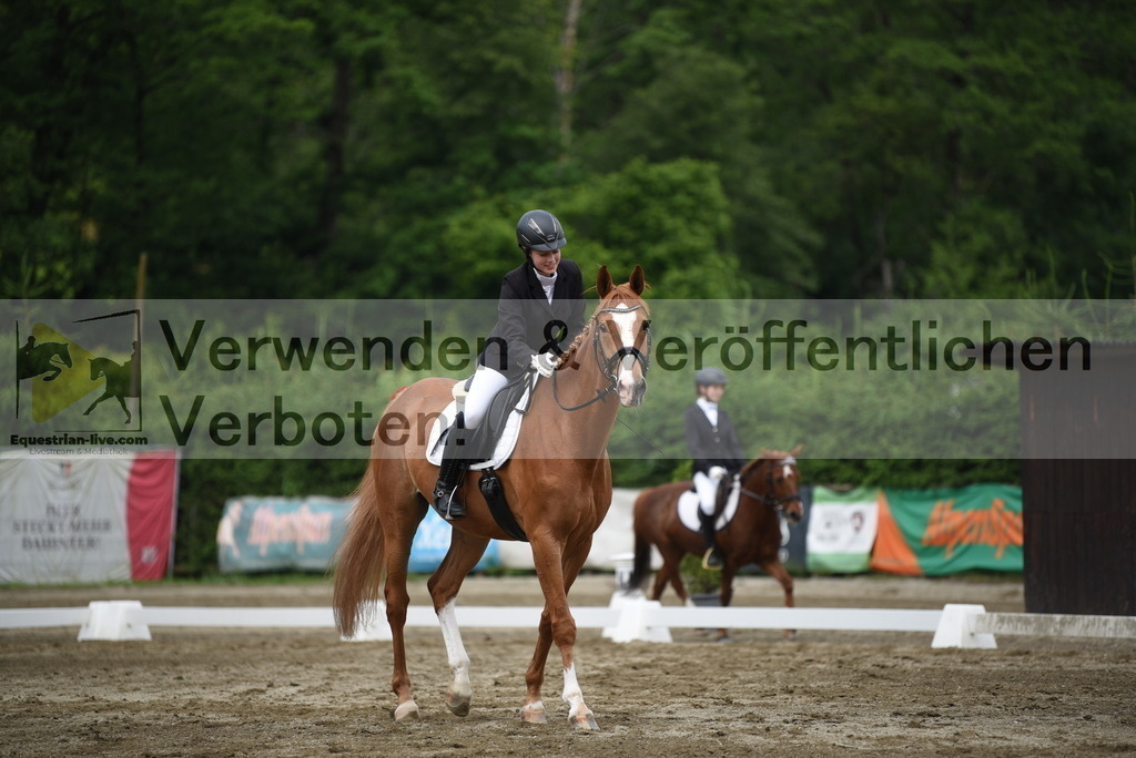 DSC_8002 | equestrian-live-com