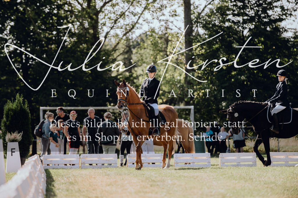 DSC_7169 | Pferde- und Turnierfotografie in Westsachsen. Pferdeportraits, Auftragszeichnungen und intuitive Kunst.