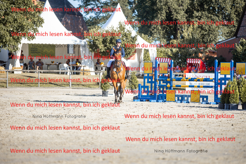 BK1A7664 | Turnierbilder Turnierfotos Nina Hüffmann Turnierfotografie Pferdefotografie Tierzeichnung Haustierzeichnung Pferdezeichnung Hundezeichnung Videograf  - Realisiert mit Pictrs.com