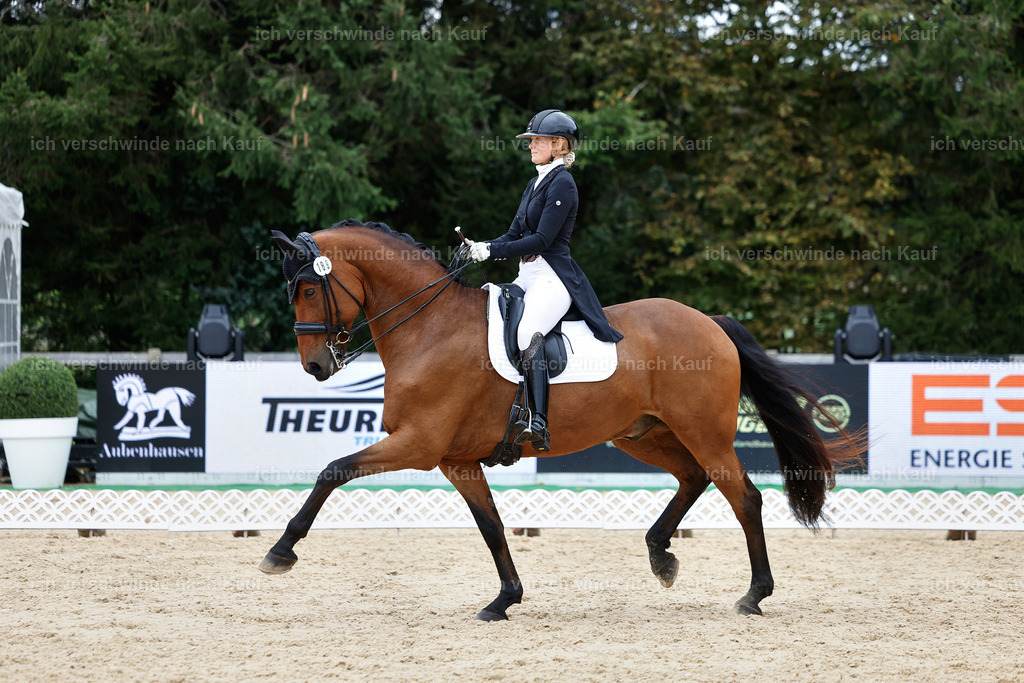 11-189-Dressur S___-StoibPH-919 | working equitationturnier fotograf videograf stoibphotography marixx film working equitation deutschland reitsport turnierfotografie eventfotografie equestrian events