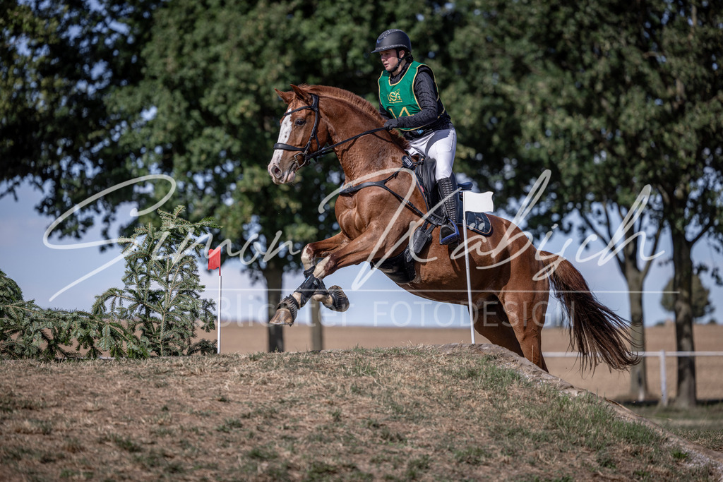 20260906-_3LI6123 | Tierfotografie Pferde, Hunde, Katzen, Haustiere.
Turnierfotografie Reitturniere, Reiten, Springreiten, Dressur in Hanau, dem Main-Kinzig-Kreis und dem Rhein-Main- Gebiet um Frankfurt