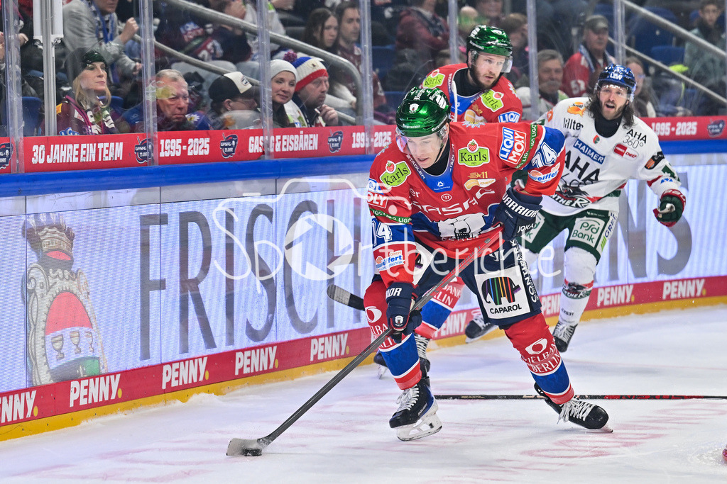 Eisbären Berlin - Augsburger Panther | BERLIN, GERMANY - 04. JANUARY: am Puck Michell Lester LANCASTER (Eisbären Berlin 74) während dem Match zwischen den Eisbären Berlin und den Augsburger Panthern am 36. Spieltag der Penny DEL in der UBER Arena