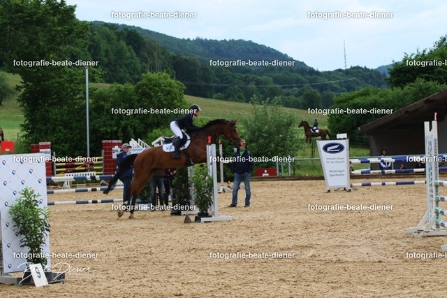 OHT1571 | Fotografie, Tiere, Hunde, Katzen, Pferde, Sportfotografie, Fotosession, Tierfotografie, Turnierfotografie, Fotografin, Fotograf - Realisiert mit Pictrs.com