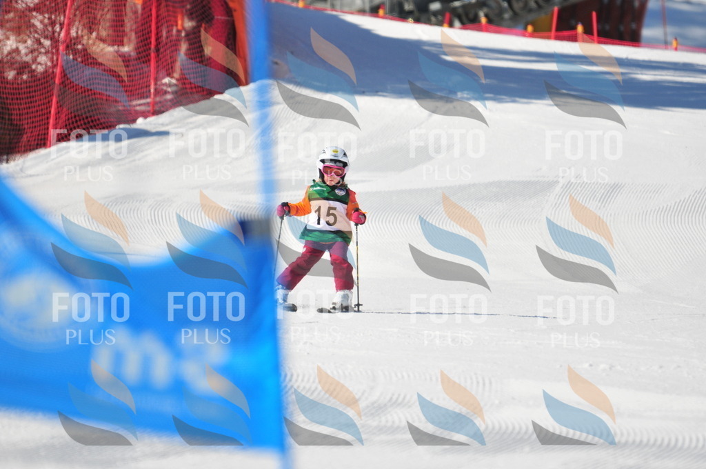 C2459 | holidayphoto