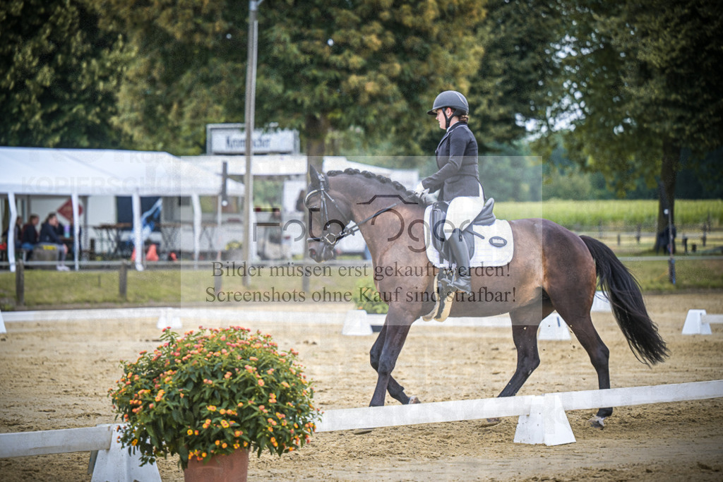 DOS_4158 | Entdecke hochwertige Reitturnierfotos von Foto Oger. Professionell, emotional und authentisch – jetzt Lieblingsmomente im Shop bestellen.Deutschlandweite Turnierfotografie. - Realisiert mit Pictrs.com